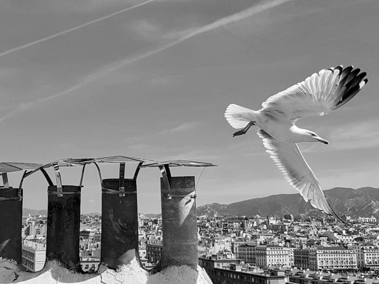 Superbe Appart, Central, Petit Balcon & Vue Place Marseille Bagian luar foto